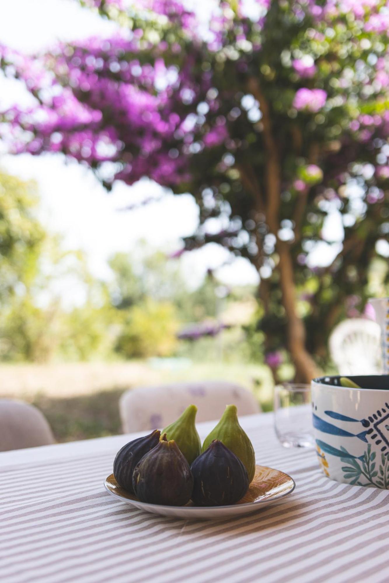 Villa Mariposa Civitanova Marche Exteriér fotografie